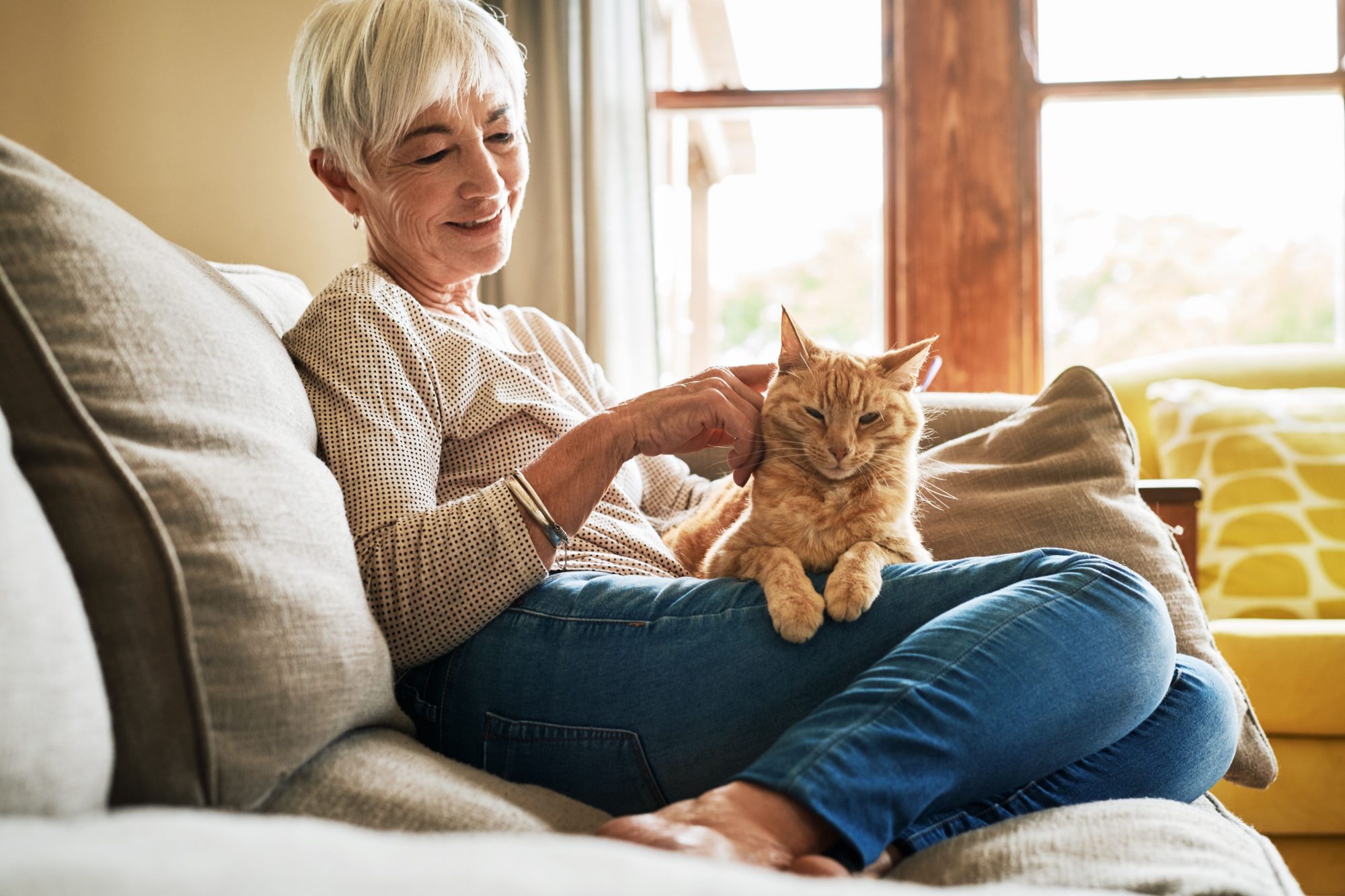 Woman with cat on her lap getting pet insurance