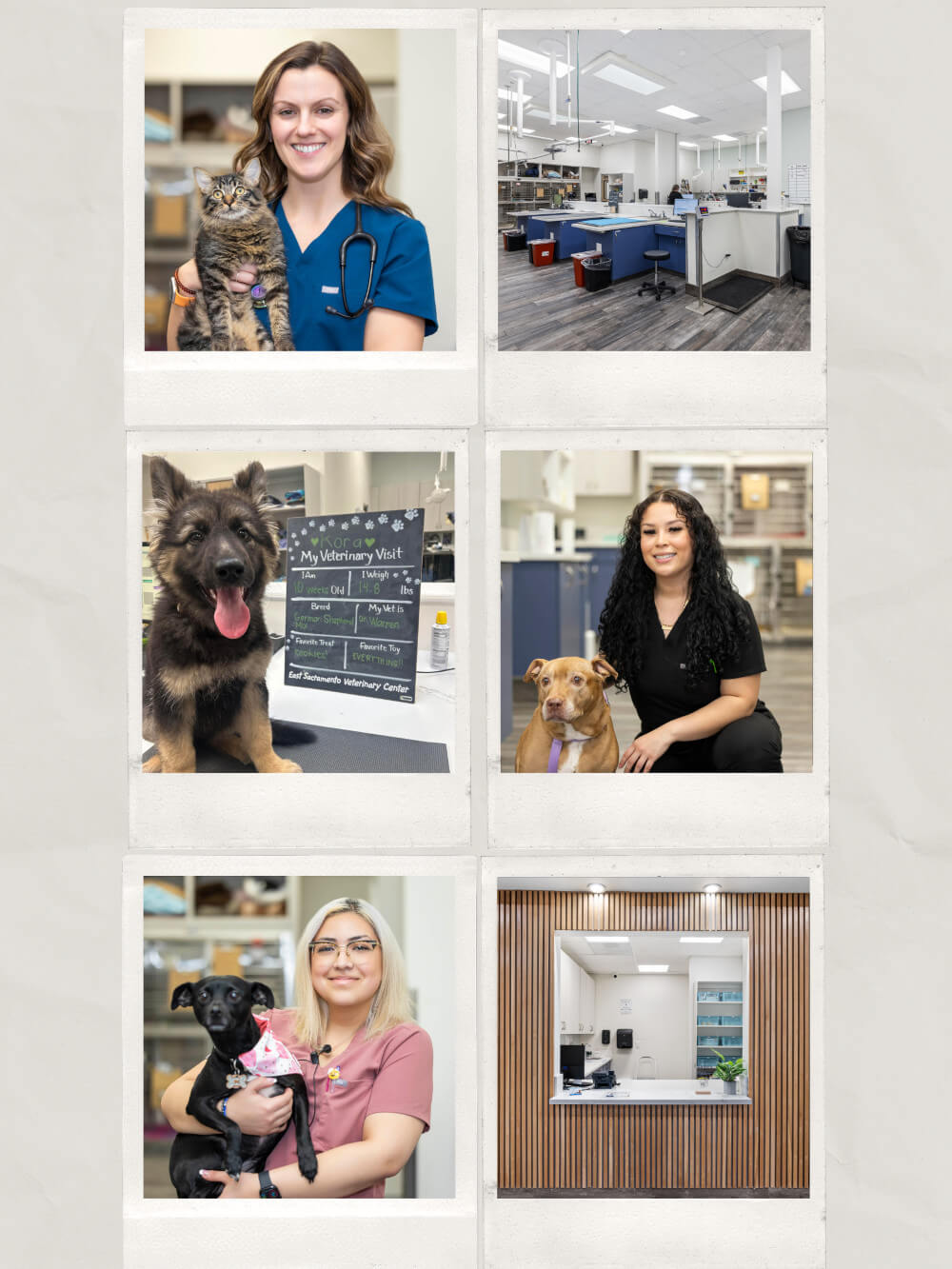 Sacramento Pet Wellness Plans